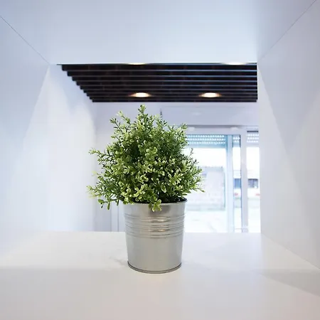 The Boutique Apartment Belgrade